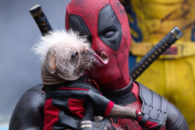 DEADPOOL & WOLVERINE, (aka DEADPOOL AND WOLVERINE, aka DEADPOOL 3), from left: Dogpool, Ryan Reynolds as Deadpool, 2024. ph: Jay Maidment /© Marvel / © Walt Disney Studios Motion Pictures / Courtesy Everett Collection